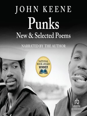cover image of Punks